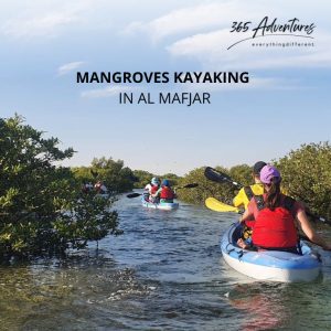 MANGROVES EXPLORATION TOUR - AL MAFJAR Outdoor Attractions